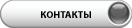 Контакты
